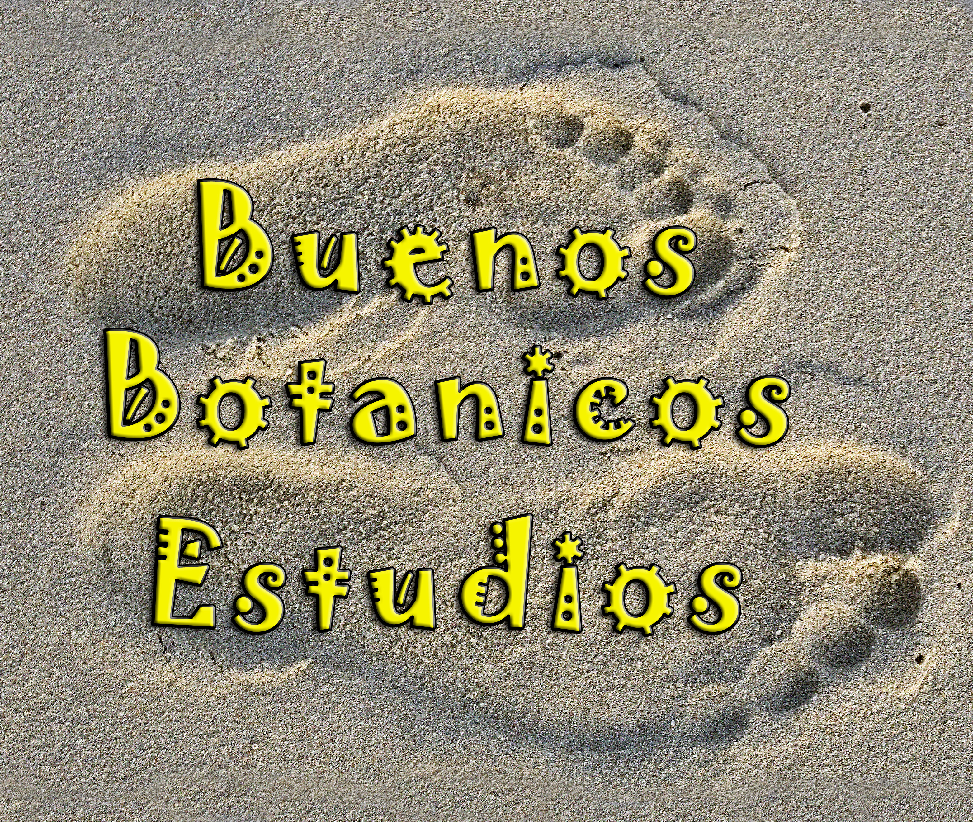 Buenos Botanicos Estudios