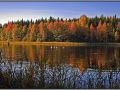 Finland, Pyhalto, Korppisenjarvi lake