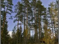Finland, Pyhalto, Korppisenjarvi lake
