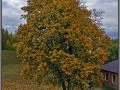 Finland, Lappeenranta