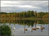 Pskov Region, Izborsk