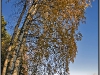 Finland, Pulkkilanharju lake