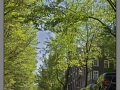 Amsterdam_canal_003