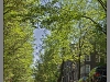 Amsterdam_canal_003