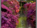 Amsterdam, Keukenhof
