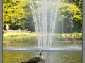 Amsterdam, Keukenhof