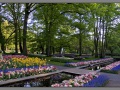 Keukenhof_000