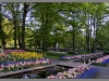 Keukenhof_000