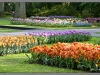 Keukenhof_007