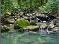 Costa Rica, Cocos Island, way to the waterfall
