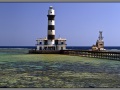 Red Sea, Egypt, Daedalus reef