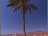 Egypt, Danab, Hilton Resort