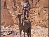 Egypt, mountains near Dahab