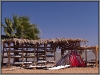 Egypt, Danab, Laguna, windsurf station
