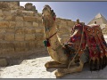 Egypt, Giza