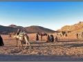 Egypt, Desert