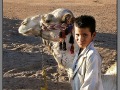 Egypt, Desert