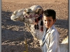 Egypt, Desert