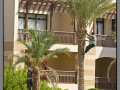 Egypt, Port Marsa Ghalib
