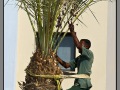 Egypt, Port Marsa Ghalib