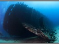 Egypt, Northern Red sea, Carnatic wreck