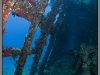 Egypt, Northern Red sea, Carnatic wreck