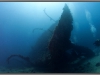 Egypt, Northern Red sea, Carnatic wreck