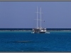 Egypt, Red Sea, Dolphin House reef