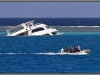 Egypt, Red Sea, Dolphin House reef