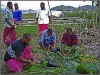 Fiji Islands, The Pacific Ocean, Local people