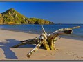 Indonesia, Padar island - pink beach