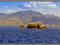 Indonesia, Batu bolong (Current city dive sight)