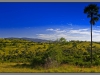 Indonesia_2013_Dragon_walk_002