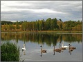 Pskov Region, Izborsk (2009)