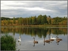 Pskov Region, Izborsk (2009)