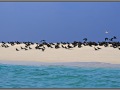 Maldives, Island in Indan ocean