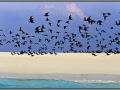 Maldives, Island in Indan ocean