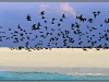 Maldives, Island in Indan ocean