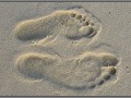 Maldives, footprint in the sand