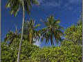 Maldives, Bandos Island