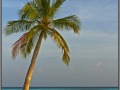 Maldives, Radhdhiggaa Island