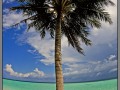 Maldives, South Male Atoll, Biyadhoo Island
