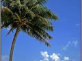 Maldives, South Male Atoll, Biyadhoo Island