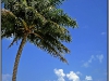Maldives, South Male Atoll, Biyadhoo Island