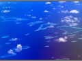Maldives islands, view from air