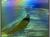 Maldives islands, view from air