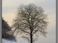 Estonia, Narva-Jõesuu, winter