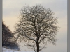 Estonia, Narva-Jõesuu, winter