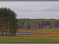 Pushkinskiye gory, Mikhailovskoye (2011)