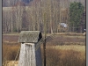 Pushkinskiye gory, Mikhailovskoye (2011)
